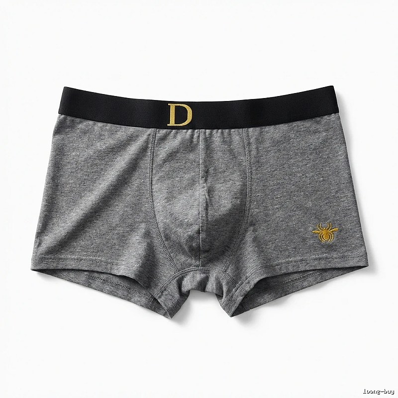 Dior minimalist style grey underwear