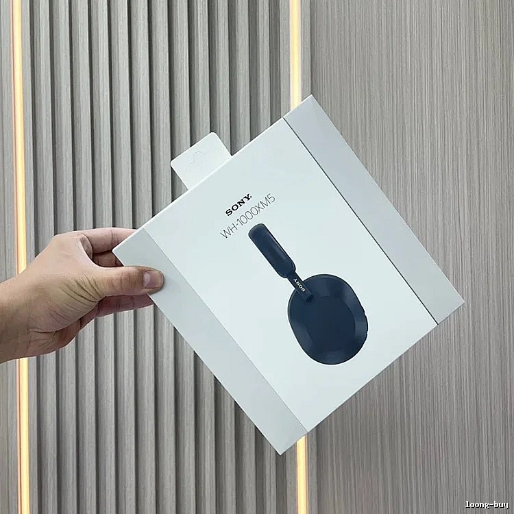 Sony WH-1000XM5 Wireless Headphones in Black